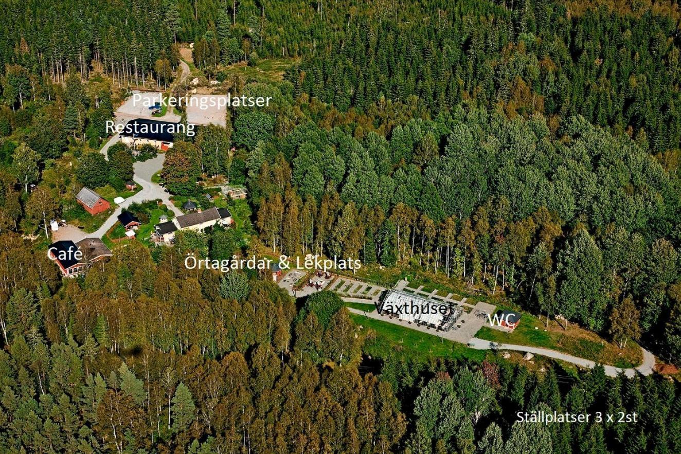 Timjan Forest Resort Nydala Εξωτερικό φωτογραφία