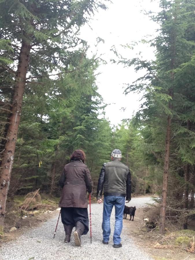 Timjan Forest Resort Nydala Εξωτερικό φωτογραφία
